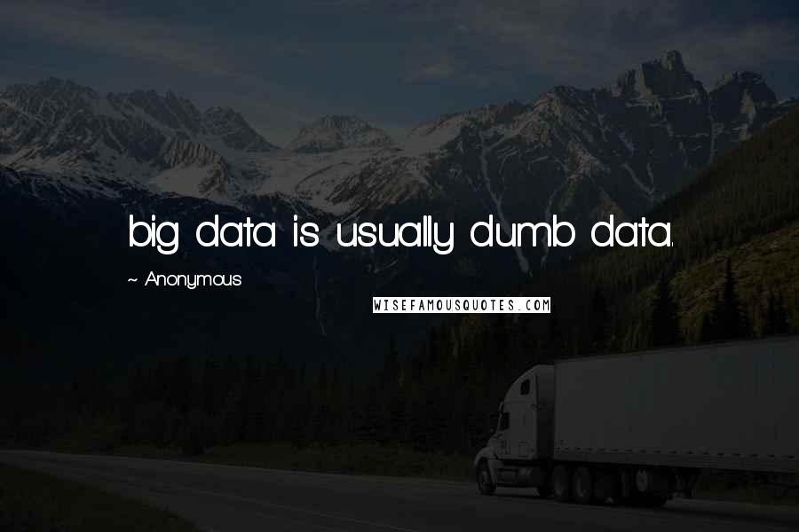 Anonymous Quotes: big data is usually dumb data.