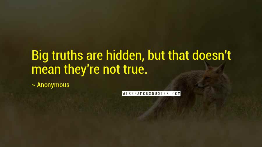 Anonymous Quotes: Big truths are hidden, but that doesn't mean they're not true.