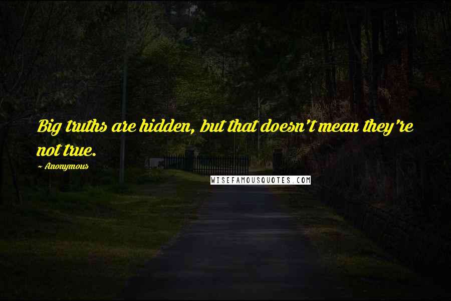 Anonymous Quotes: Big truths are hidden, but that doesn't mean they're not true.