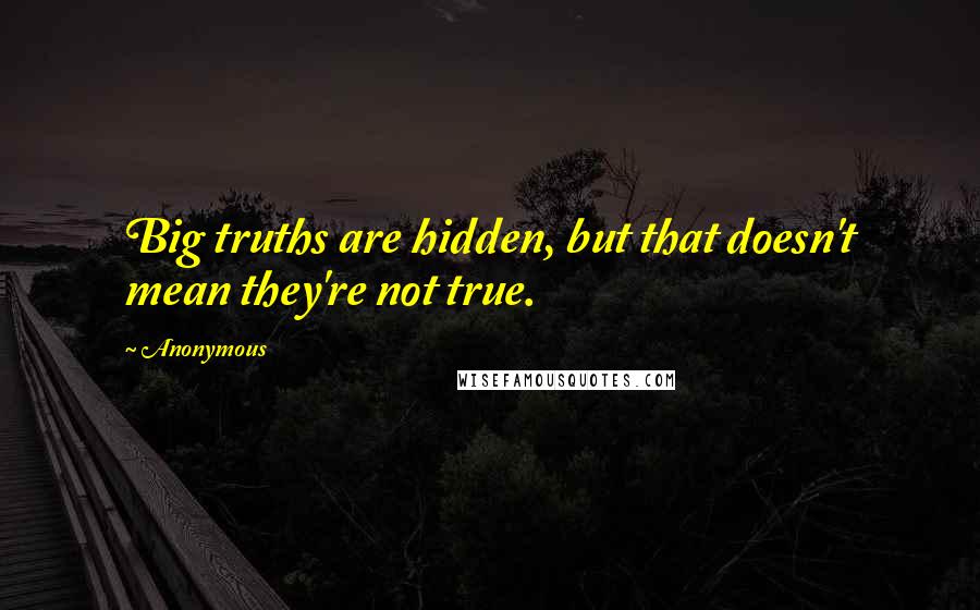 Anonymous Quotes: Big truths are hidden, but that doesn't mean they're not true.