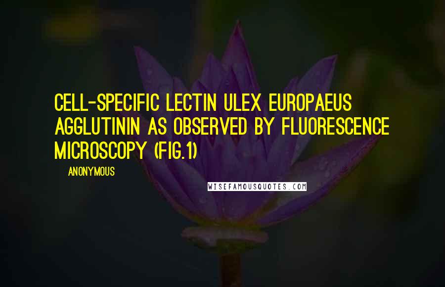 Anonymous Quotes: Cell-specific lectin Ulex europaeus agglutinin as observed by fluorescence microscopy (Fig.1)