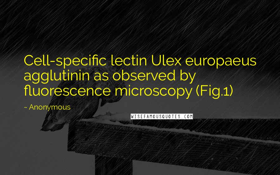 Anonymous Quotes: Cell-specific lectin Ulex europaeus agglutinin as observed by fluorescence microscopy (Fig.1)