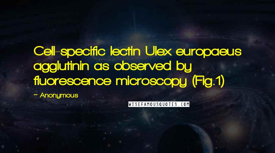 Anonymous Quotes: Cell-specific lectin Ulex europaeus agglutinin as observed by fluorescence microscopy (Fig.1)