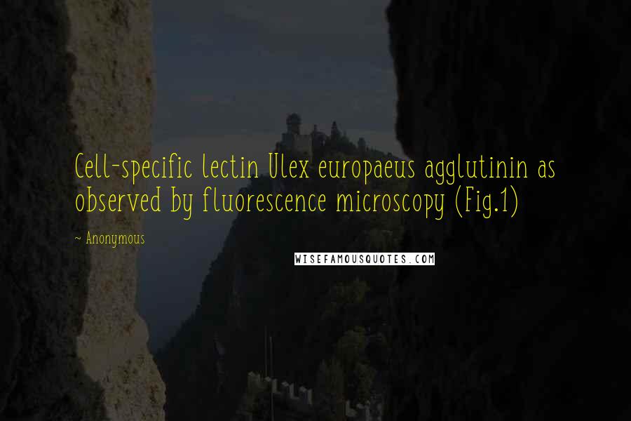 Anonymous Quotes: Cell-specific lectin Ulex europaeus agglutinin as observed by fluorescence microscopy (Fig.1)