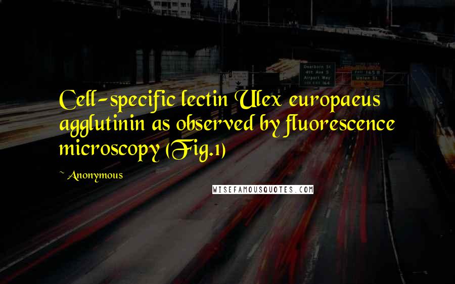 Anonymous Quotes: Cell-specific lectin Ulex europaeus agglutinin as observed by fluorescence microscopy (Fig.1)