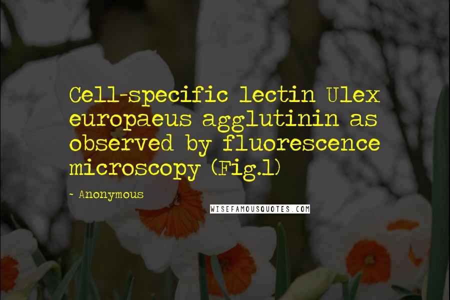 Anonymous Quotes: Cell-specific lectin Ulex europaeus agglutinin as observed by fluorescence microscopy (Fig.1)