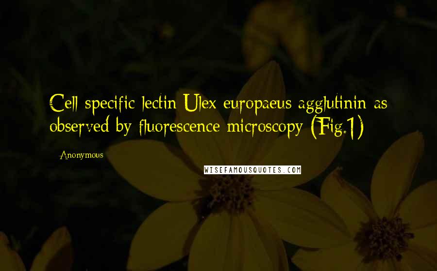 Anonymous Quotes: Cell-specific lectin Ulex europaeus agglutinin as observed by fluorescence microscopy (Fig.1)