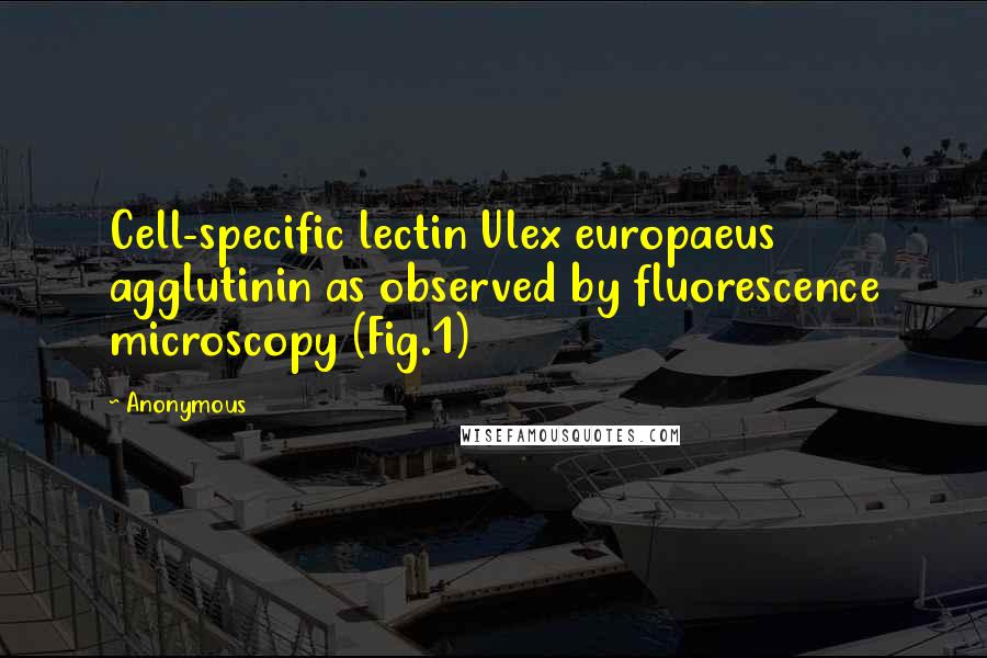 Anonymous Quotes: Cell-specific lectin Ulex europaeus agglutinin as observed by fluorescence microscopy (Fig.1)