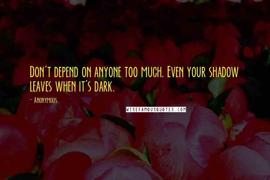 Anonymous Quotes: Don't depend on anyone too much. Even your shadow leaves when it's dark.