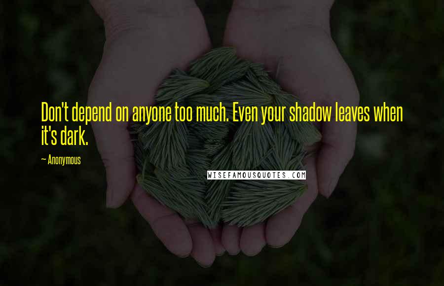 Anonymous Quotes: Don't depend on anyone too much. Even your shadow leaves when it's dark.