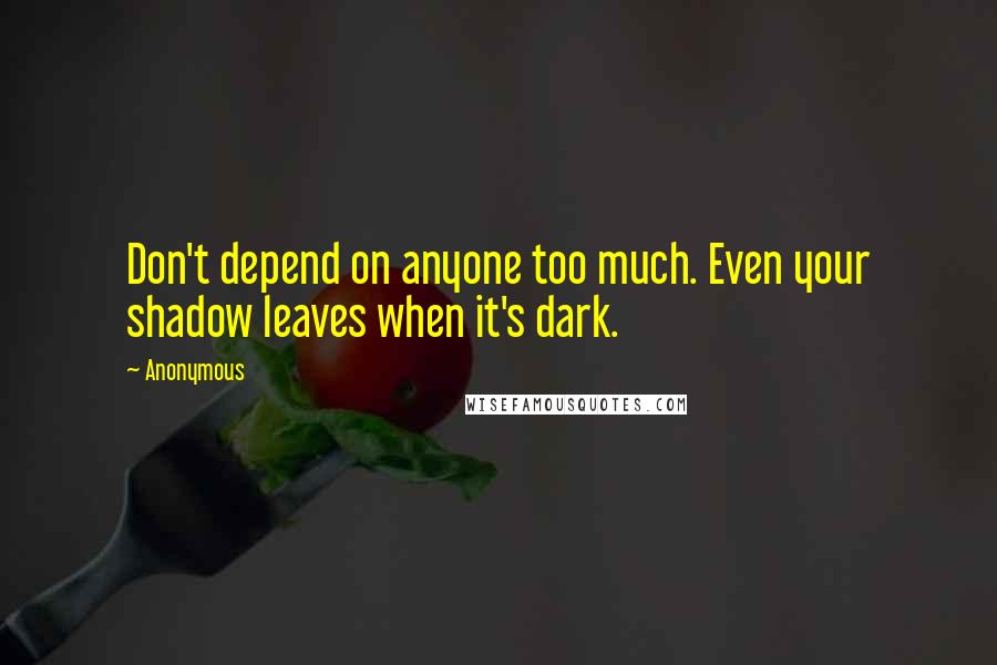 Anonymous Quotes: Don't depend on anyone too much. Even your shadow leaves when it's dark.