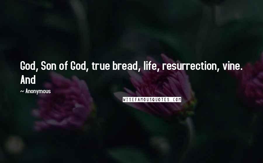 Anonymous Quotes: God, Son of God, true bread, life, resurrection, vine. And