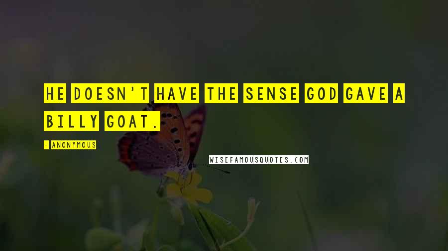 Anonymous Quotes: He doesn't have the sense God gave a billy goat.
