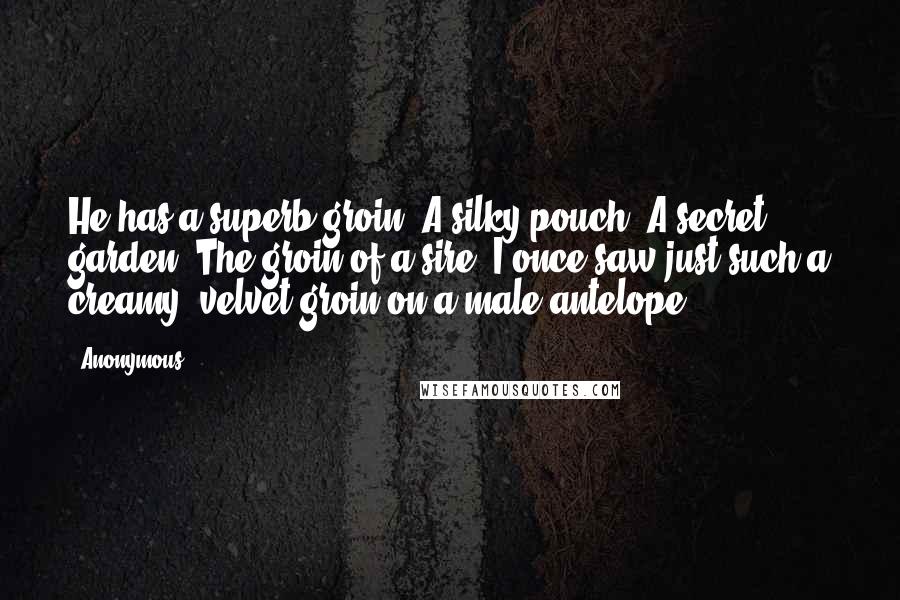 Anonymous Quotes: He has a superb groin. A silky pouch. A secret garden. The groin of a sire. I once saw just such a creamy, velvet groin on a male antelope.