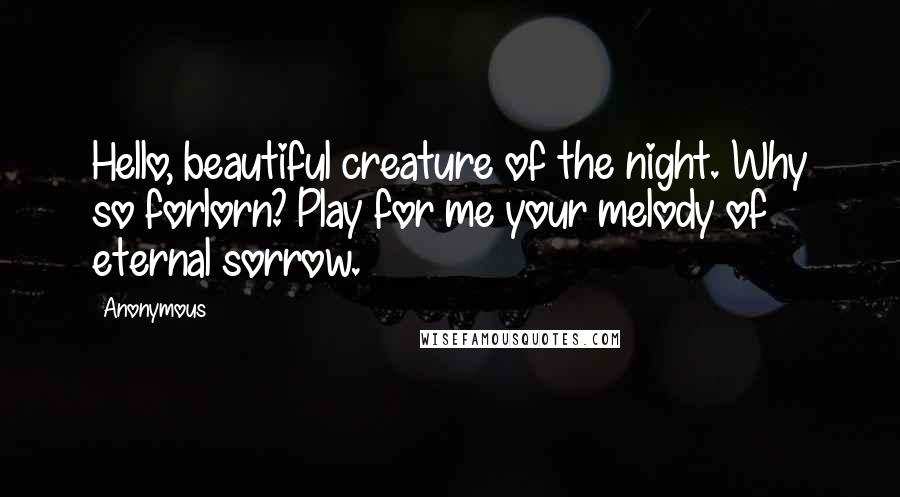 Anonymous Quotes: Hello, beautiful creature of the night. Why so forlorn? Play for me your melody of eternal sorrow.