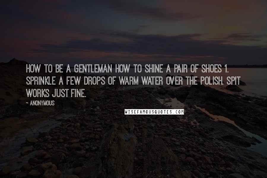 Anonymous Quotes: HOW TO BE A GENTLEMAN HOW TO SHINE A PAIR OF SHOES 1. Sprinkle a few drops of warm water over the polish. Spit works just fine.