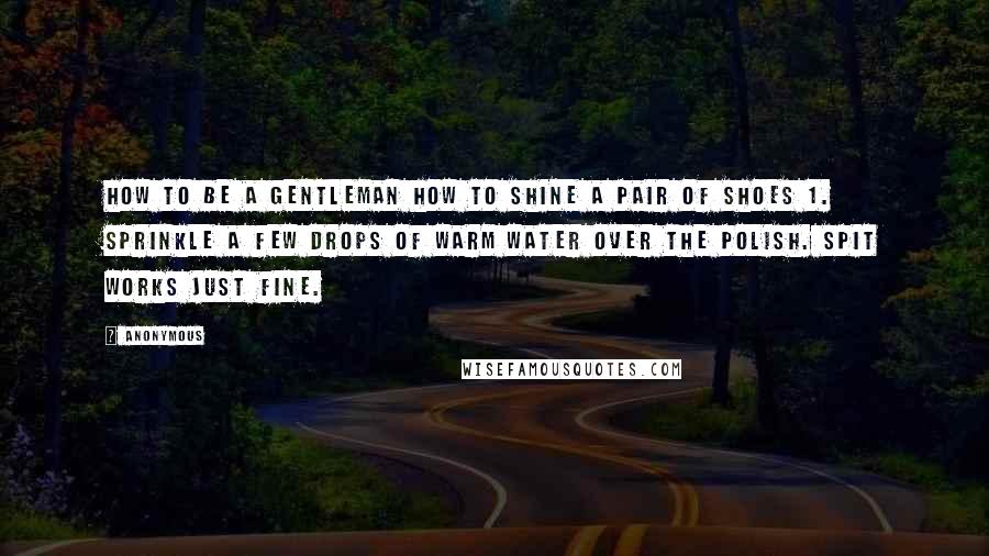 Anonymous Quotes: HOW TO BE A GENTLEMAN HOW TO SHINE A PAIR OF SHOES 1. Sprinkle a few drops of warm water over the polish. Spit works just fine.