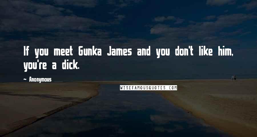 Anonymous Quotes: If you meet Gunka James and you don't like him, you're a dick.