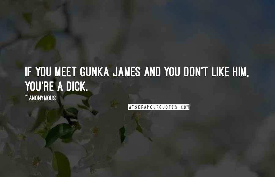 Anonymous Quotes: If you meet Gunka James and you don't like him, you're a dick.