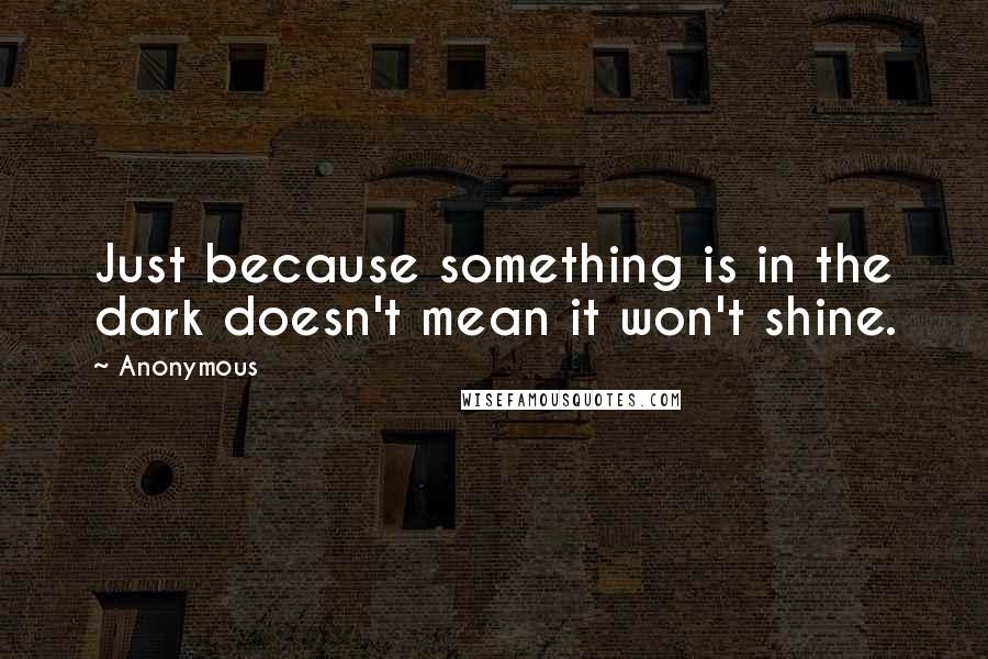 Anonymous Quotes: Just because something is in the dark doesn't mean it won't shine.