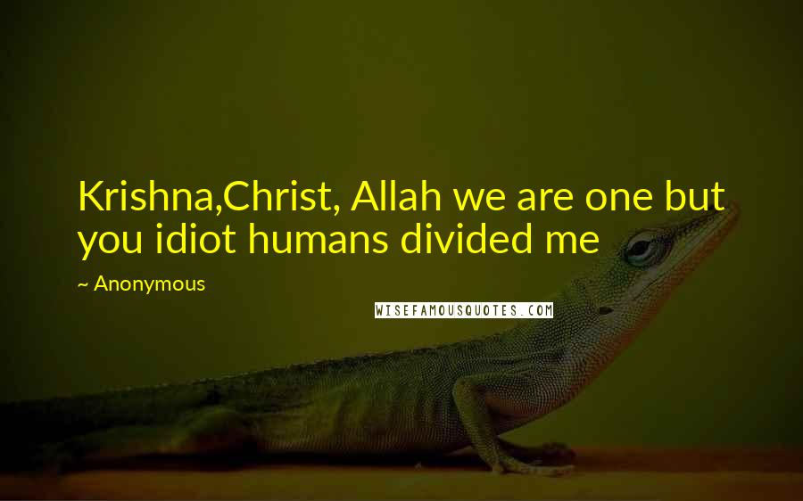 Anonymous Quotes: Krishna,Christ, Allah we are one but you idiot humans divided me