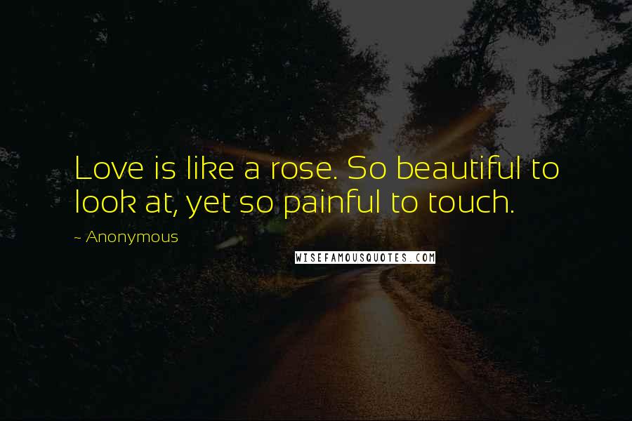 Anonymous Quotes: Love is like a rose. So beautiful to look at, yet so painful to touch.