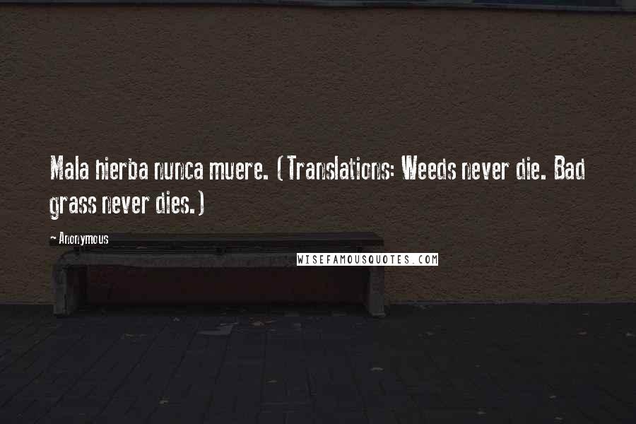 Anonymous Quotes: Mala hierba nunca muere. (Translations: Weeds never die. Bad grass never dies.)