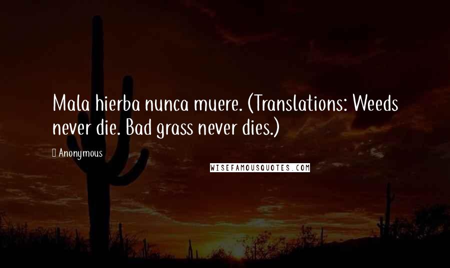 Anonymous Quotes: Mala hierba nunca muere. (Translations: Weeds never die. Bad grass never dies.)