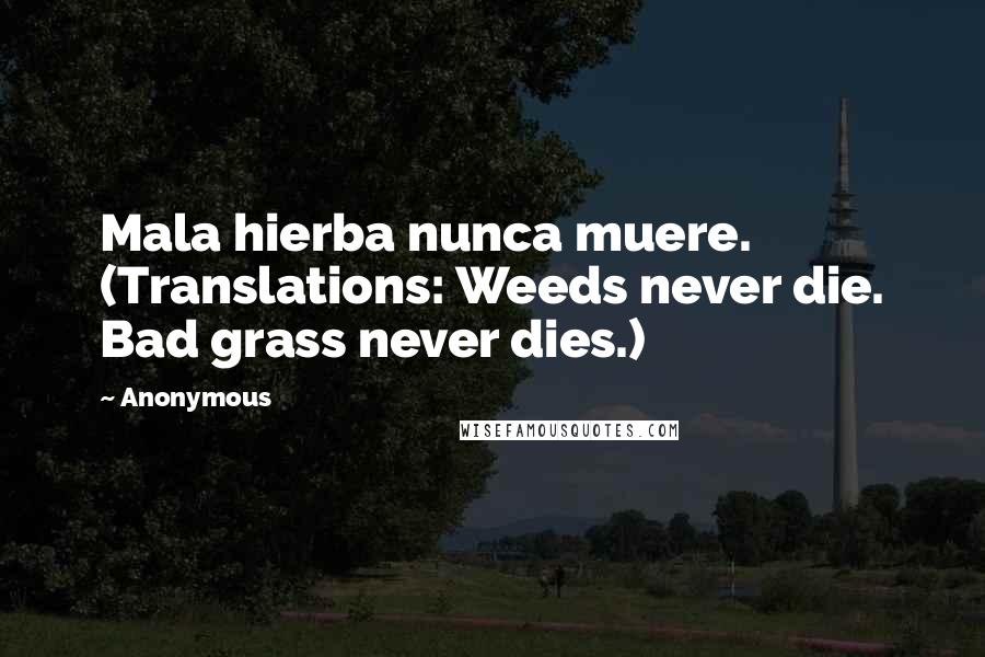 Anonymous Quotes: Mala hierba nunca muere. (Translations: Weeds never die. Bad grass never dies.)