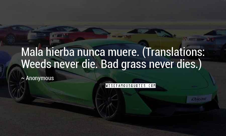 Anonymous Quotes: Mala hierba nunca muere. (Translations: Weeds never die. Bad grass never dies.)