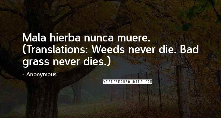 Anonymous Quotes: Mala hierba nunca muere. (Translations: Weeds never die. Bad grass never dies.)