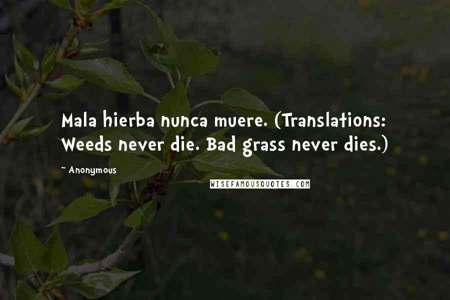 Anonymous Quotes: Mala hierba nunca muere. (Translations: Weeds never die. Bad grass never dies.)