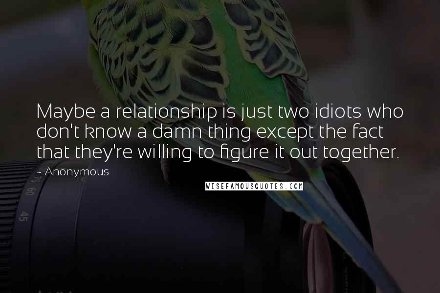 Anonymous Quotes: Maybe a relationship is just two idiots who don't know a damn thing except the fact that they're willing to figure it out together.