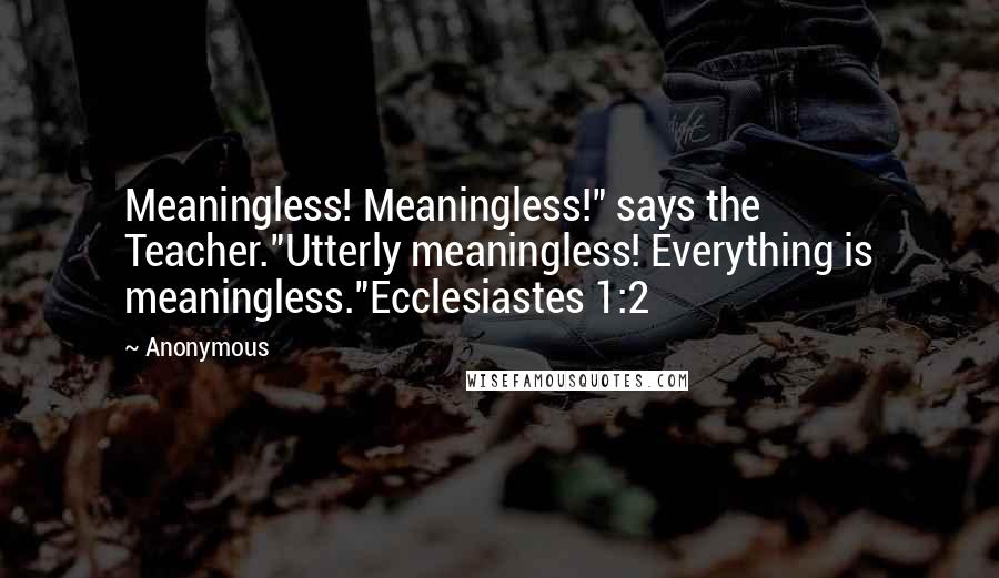 Anonymous Quotes: Meaningless! Meaningless!" says the Teacher."Utterly meaningless! Everything is meaningless."Ecclesiastes 1:2