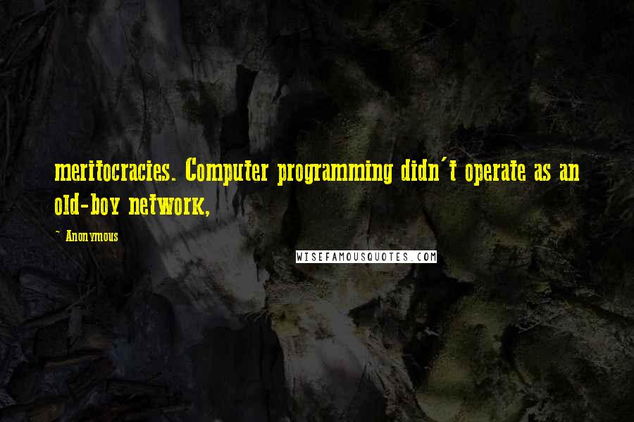 Anonymous Quotes: meritocracies. Computer programming didn't operate as an old-boy network,