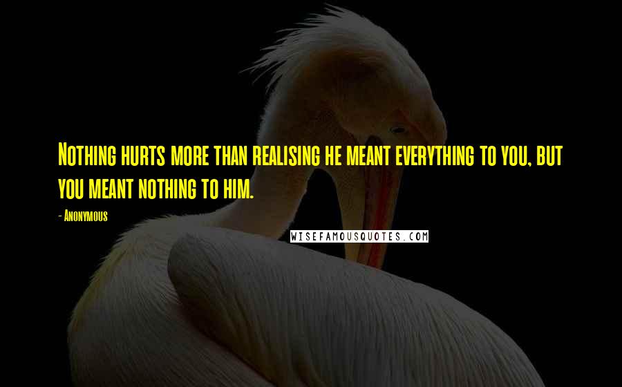 Anonymous Quotes: Nothing hurts more than realising he meant everything to you, but you meant nothing to him.