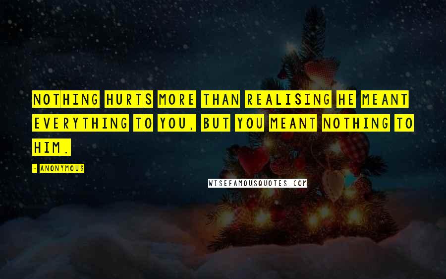 Anonymous Quotes: Nothing hurts more than realising he meant everything to you, but you meant nothing to him.