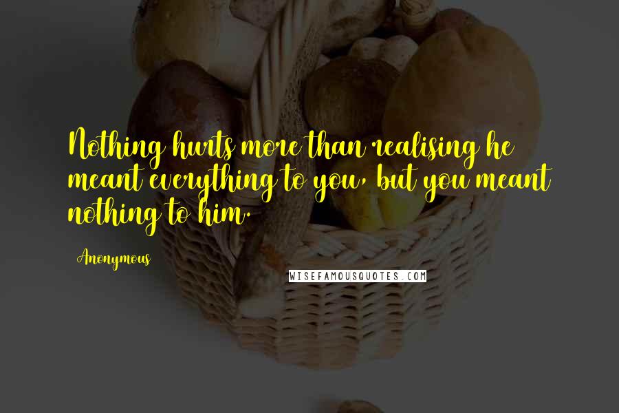 Anonymous Quotes: Nothing hurts more than realising he meant everything to you, but you meant nothing to him.