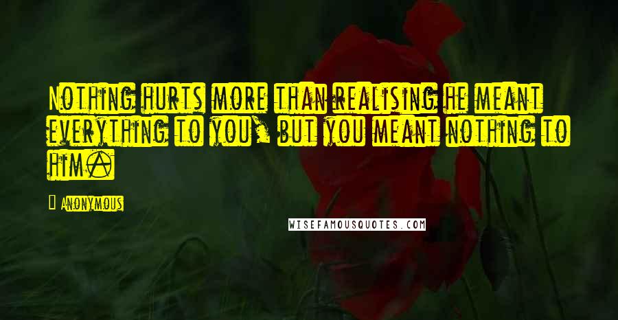 Anonymous Quotes: Nothing hurts more than realising he meant everything to you, but you meant nothing to him.