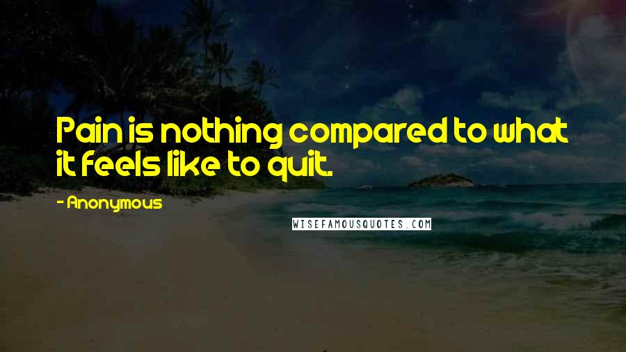 Anonymous Quotes: Pain is nothing compared to what it feels like to quit.