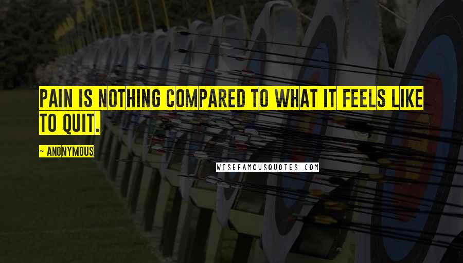 Anonymous Quotes: Pain is nothing compared to what it feels like to quit.