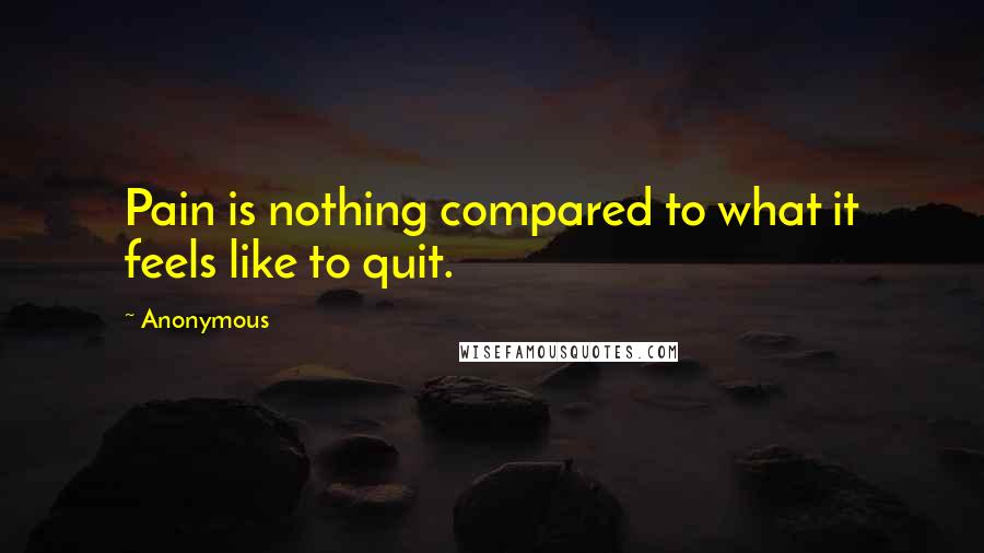 Anonymous Quotes: Pain is nothing compared to what it feels like to quit.