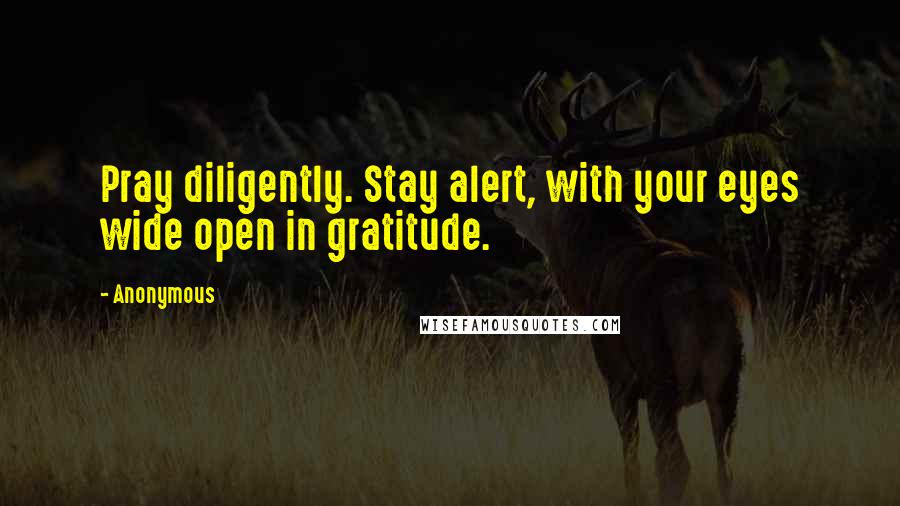 Anonymous Quotes: Pray diligently. Stay alert, with your eyes wide open in gratitude.