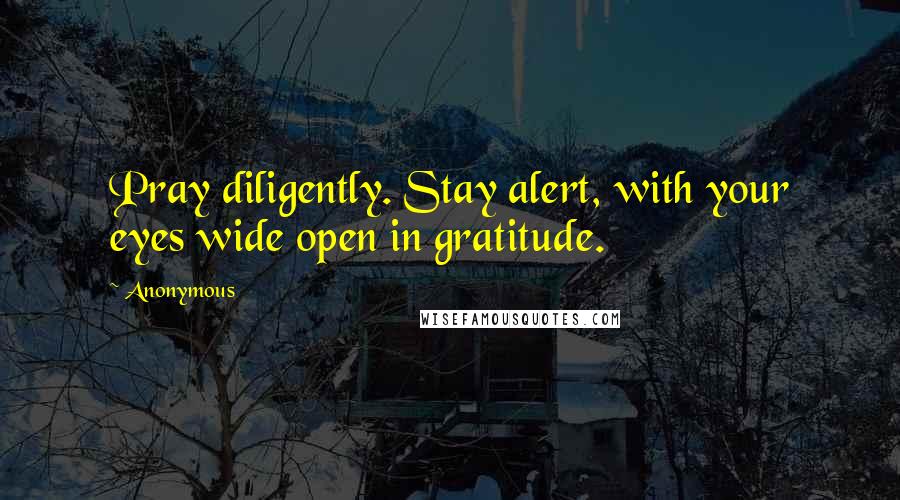 Anonymous Quotes: Pray diligently. Stay alert, with your eyes wide open in gratitude.