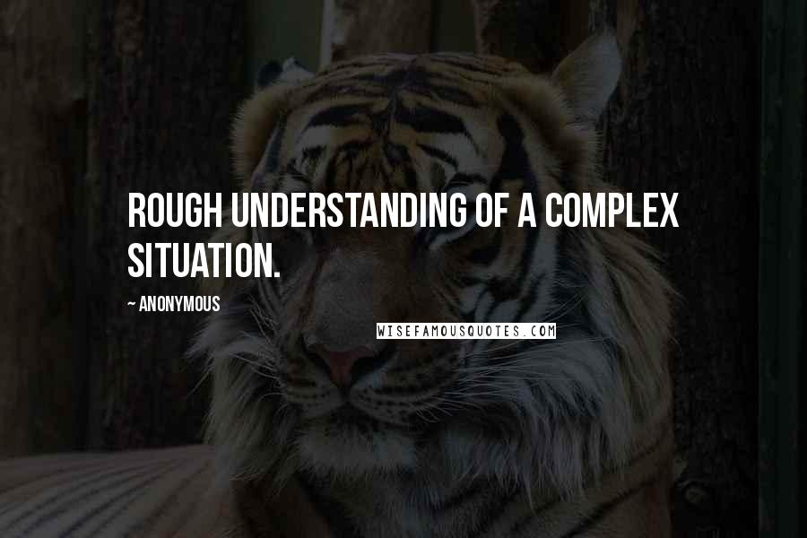 Anonymous Quotes: rough understanding of a complex situation.