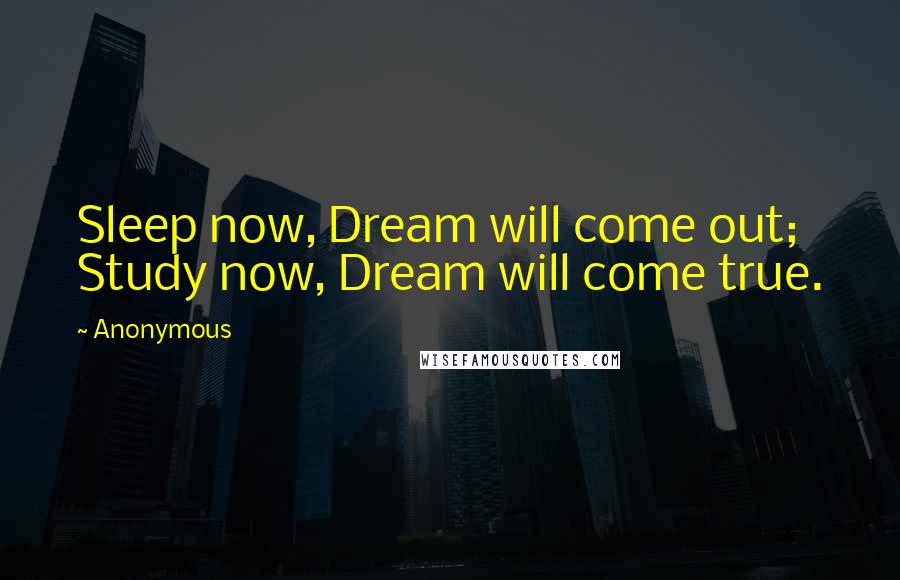 Anonymous Quotes: Sleep now, Dream will come out; Study now, Dream will come true.