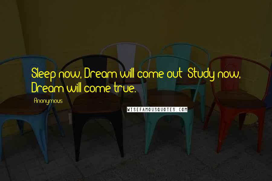 Anonymous Quotes: Sleep now, Dream will come out; Study now, Dream will come true.