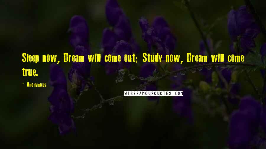 Anonymous Quotes: Sleep now, Dream will come out; Study now, Dream will come true.