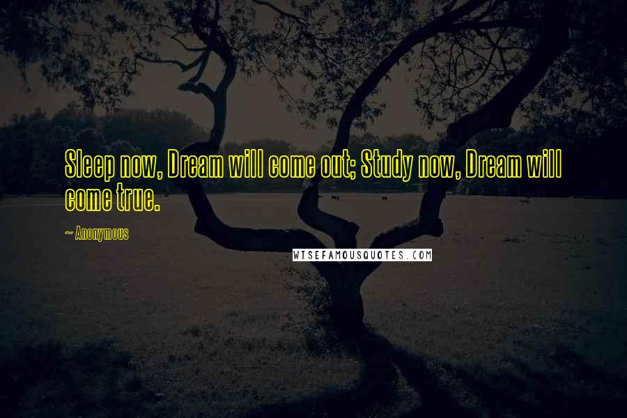 Anonymous Quotes: Sleep now, Dream will come out; Study now, Dream will come true.
