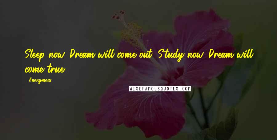 Anonymous Quotes: Sleep now, Dream will come out; Study now, Dream will come true.